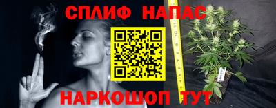 стаф Заводоуковск