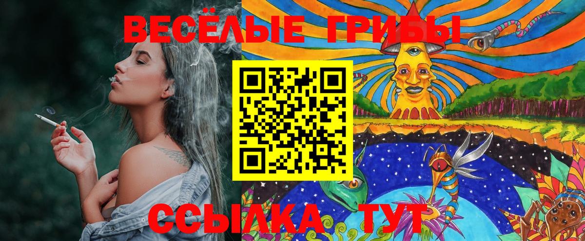 Псилоцибиновые грибы Magic Shrooms Карталы