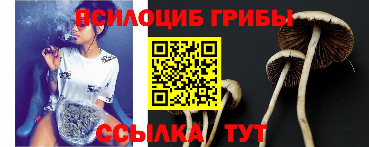 Карталы  Галлюциногенные грибы мухоморы  Вход с VPN 